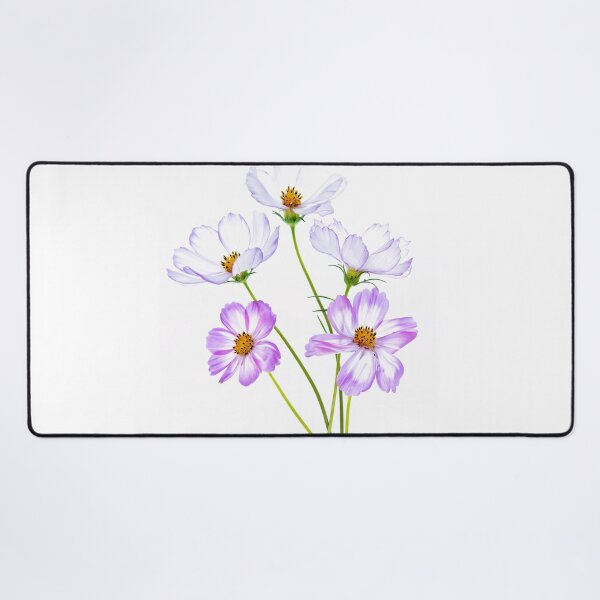 Item preview, Pink and White Cosmos Flowers designed and sold by Catrinann.