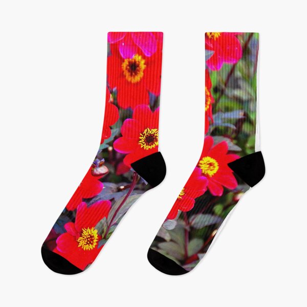 Item preview, Red Dahlia Summer Flowers designed and sold by AndyEvansPhotos.