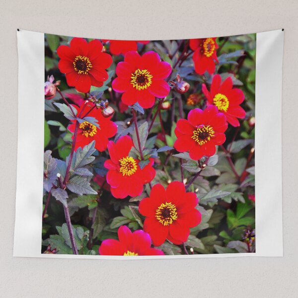 Item preview, Red Dahlia Summer Flowers designed and sold by AndyEvansPhotos.