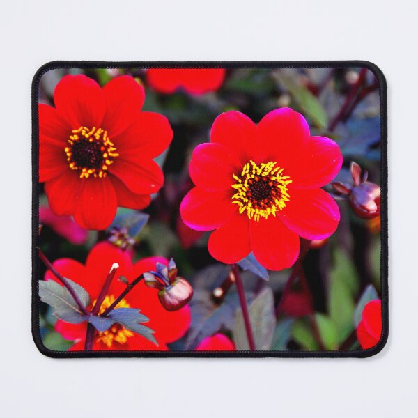 Item preview, Red Dahlia Summer Flowers designed and sold by AndyEvansPhotos.