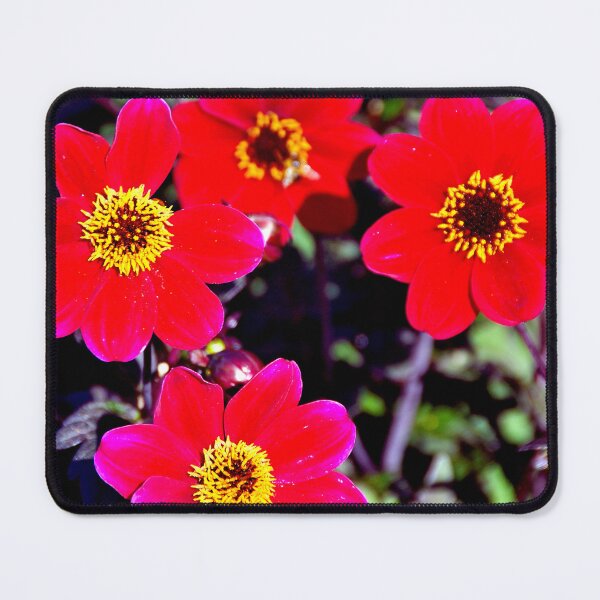 Item preview, Red Dahlia Summer Flowers designed and sold by AndyEvansPhotos.