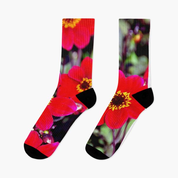 Item preview, Red Dahlia Summer Flowers designed and sold by AndyEvansPhotos.