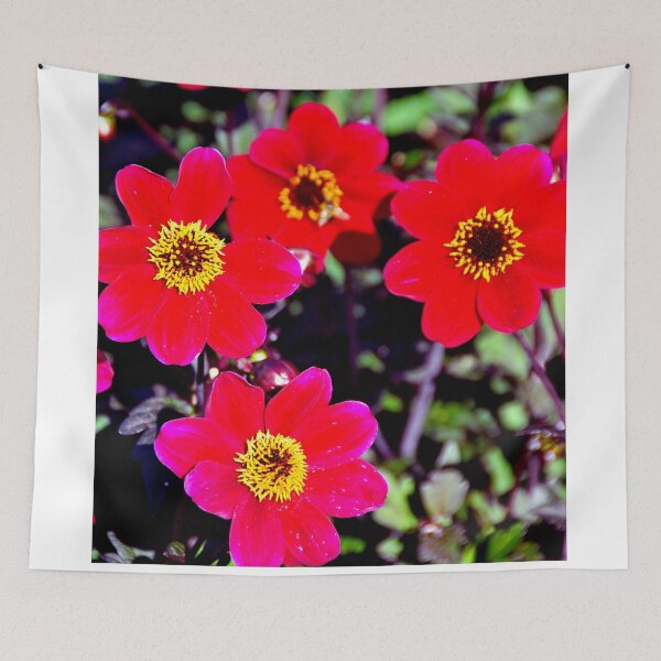Item preview, Red Dahlia Summer Flowers designed and sold by AndyEvansPhotos.
