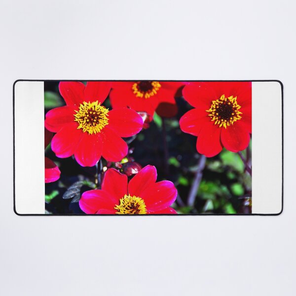 Item preview, Red Dahlia Summer Flowers designed and sold by AndyEvansPhotos.