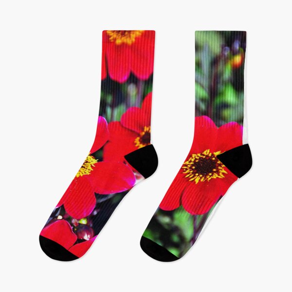 Item preview, Red Dahlia Summer Flowers designed and sold by AndyEvansPhotos.