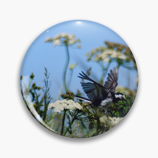 Item preview, Pied Wagtail in flight Scotland UK designed and sold by emergentdesigns.