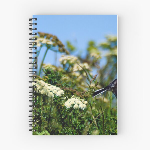 Item preview, Pied Wagtail in flight Scotland UK designed and sold by emergentdesigns.