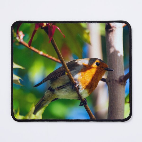 Item preview, Robin perched in tree designed and sold by emergentdesigns.