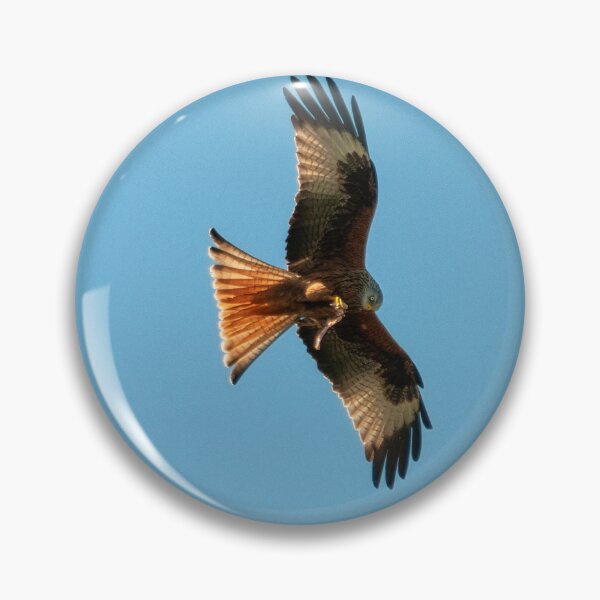 Item preview, Red Kite in flight designed and sold by emergentdesigns.