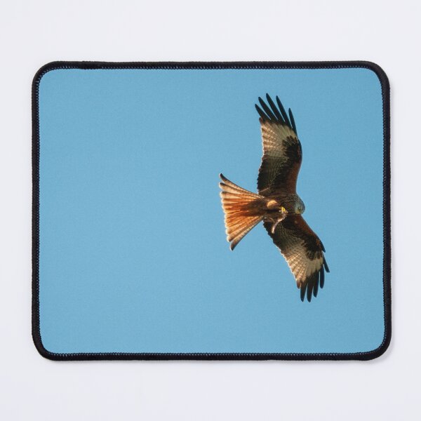 Item preview, Red Kite in flight designed and sold by emergentdesigns.