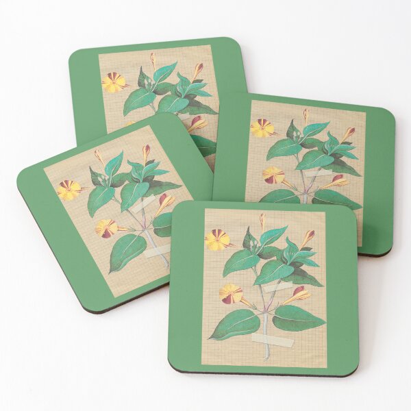 Item preview, Vintage Botanical Illustration Marvel of Peru designed and sold by mockingbirdmuse.