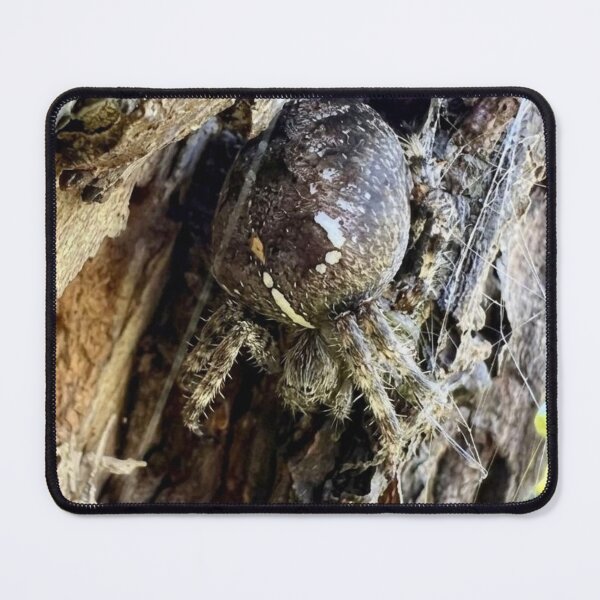 Item preview, Garden Spider Camouflaged on Tree Bark  designed and sold by Astute-Artio-Photography.
