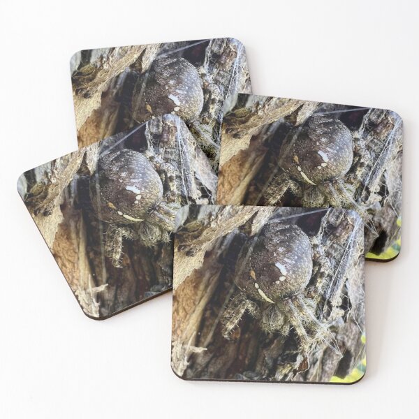 Item preview, Garden Spider Camouflaged on Tree Bark  designed and sold by Astute-Artio-Photography.