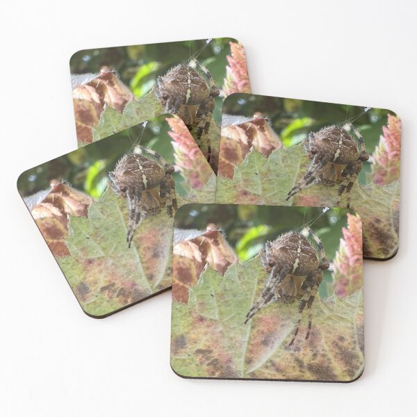 Item preview, Garden Spider on Autumn Leaf designed and sold by Astute-Artio-Photography.