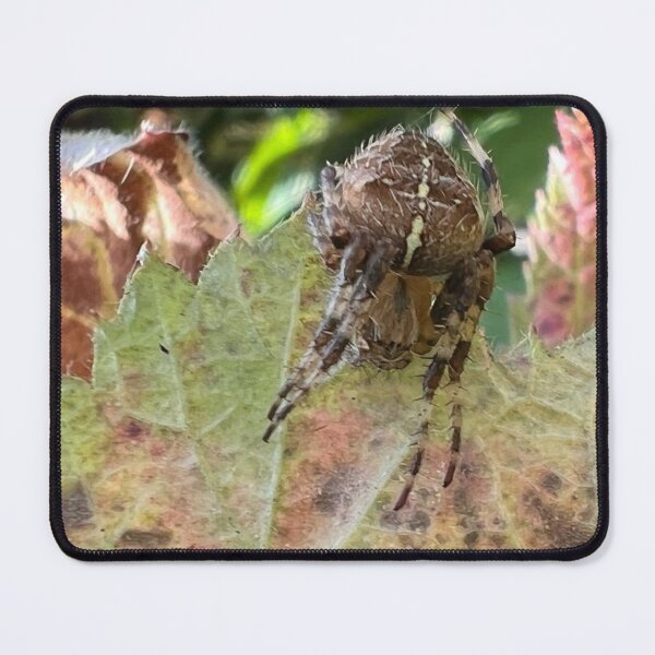 Item preview, Garden Spider on Autumn Leaf designed and sold by Astute-Artio-Photography.
