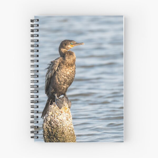 Item preview, Cormorant Resting on a Wooden Post designed and sold by Debra Martz.