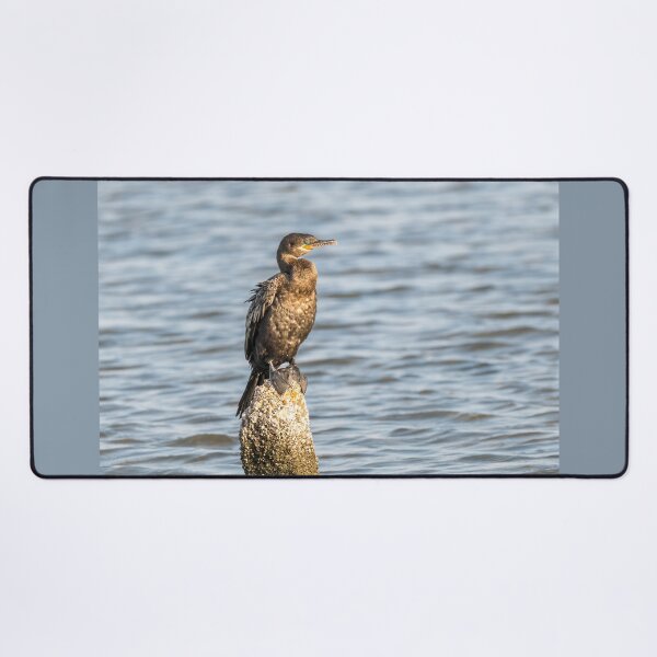 Item preview, Cormorant Resting on a Wooden Post designed and sold by Debra Martz.