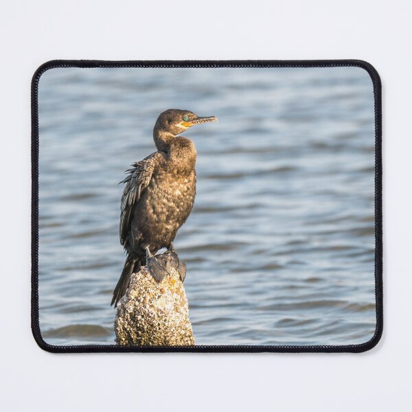 Item preview, Cormorant Resting on a Wooden Post designed and sold by Debra Martz.