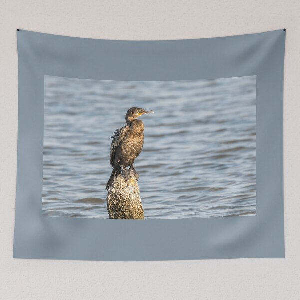 Item preview, Cormorant Resting on a Wooden Post designed and sold by Debra Martz.
