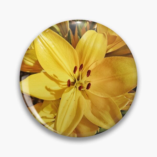 Item preview, Blooming yellow lilies on a sunny day designed and sold by Enerjetal.