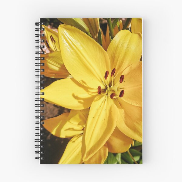 Item preview, Blooming yellow lilies on a sunny day designed and sold by Enerjetal.