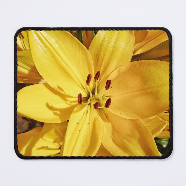 Item preview, Blooming yellow lilies on a sunny day designed and sold by Enerjetal.