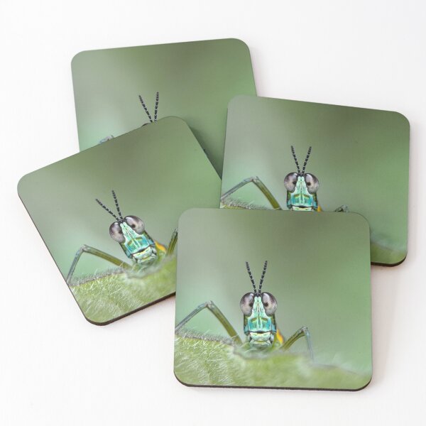 Item preview, Hello grasshopper designed and sold by bealeiderman.
