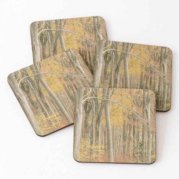 Item preview, A View through the Trees designed and sold by Martin Stokes Photography.