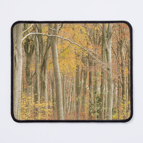 Item preview, A View through the Trees designed and sold by Martin Stokes Photography.