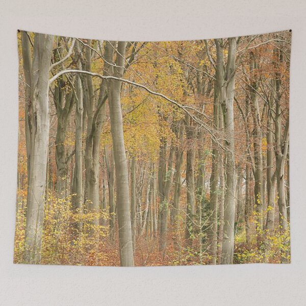 Item preview, A View through the Trees designed and sold by Martin Stokes Photography.