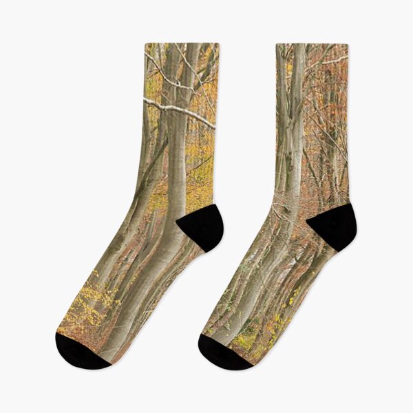 Item preview, A View through the Trees designed and sold by Martin Stokes Photography.