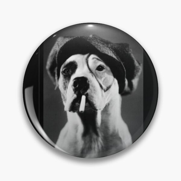 Artikelvorschau, Petey Mugshot entworfen und verkauft von PITBULLEE.