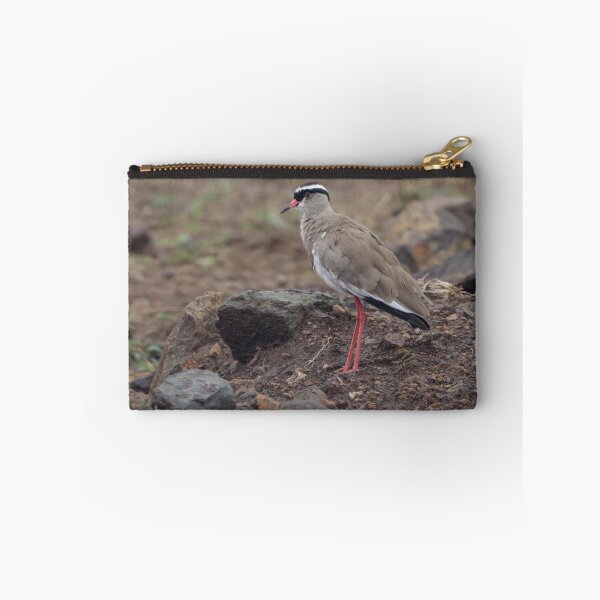 Item preview, Solitary Crowned Lapwing Standing on Rocks designed and sold by OlaniPictures.