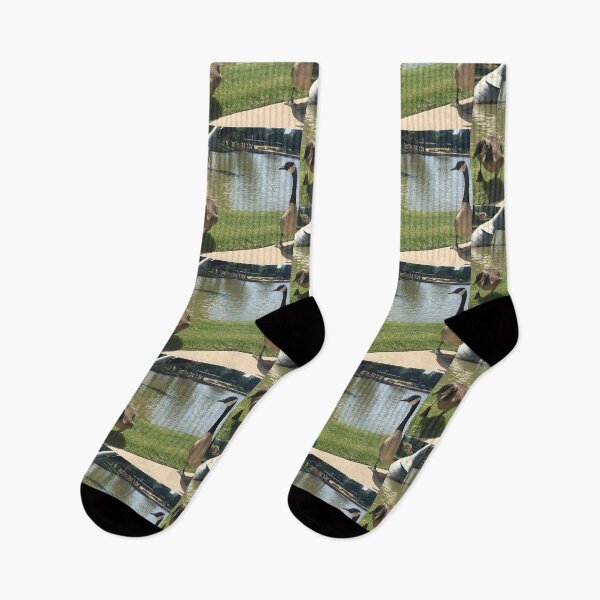 Item preview, Canada Geese by Park Pond Art Print designed and sold by KaleChub.