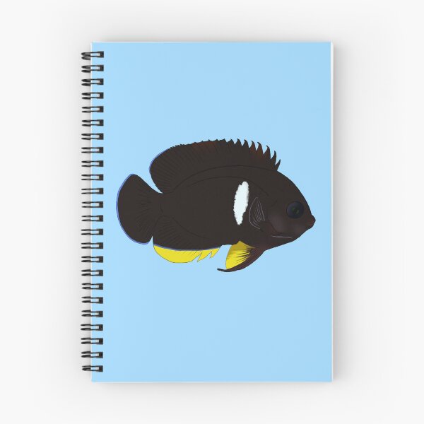Item preview, Tibicen Dwarf Angelfish designed and sold by Copperbora.