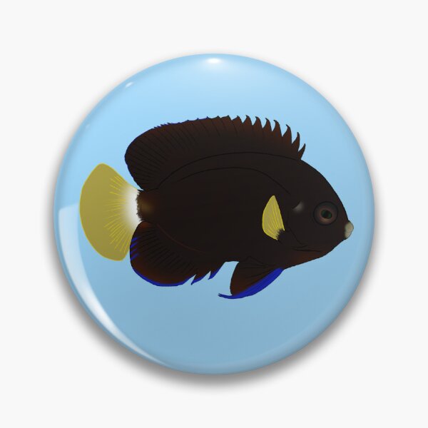 Item preview, Pygmy Yellowtail Angelfish designed and sold by Copperbora.