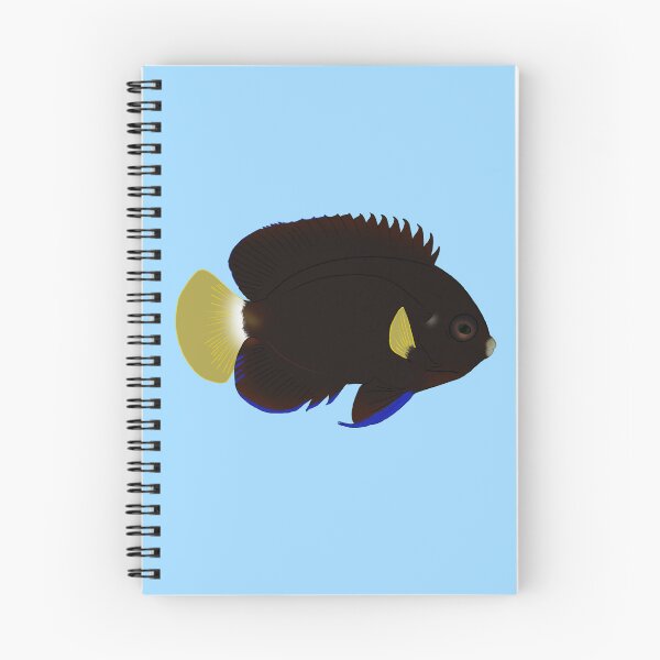 Item preview, Pygmy Yellowtail Angelfish designed and sold by Copperbora.