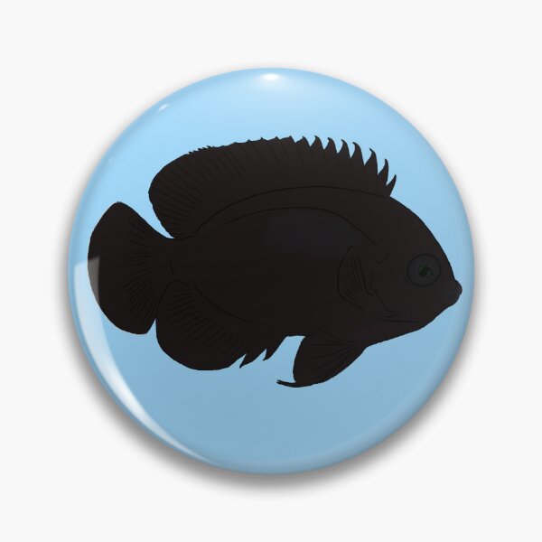 Item preview, Black Nox Dwarf Angelfish designed and sold by Copperbora.
