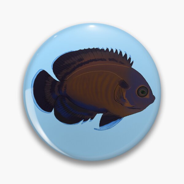 Item preview, Bluefin Dwarf Angelfish designed and sold by Copperbora.