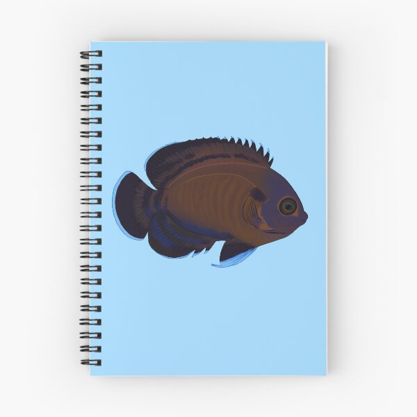 Item preview, Bluefin Dwarf Angelfish designed and sold by Copperbora.