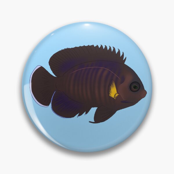Item preview, Yellowfin Dwarf Angelfish designed and sold by Copperbora.