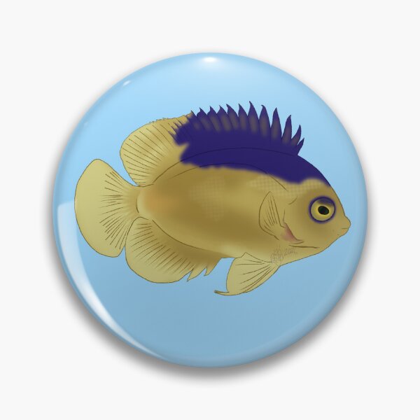 Item preview, Colin's Dwarf Angelfish designed and sold by Copperbora.