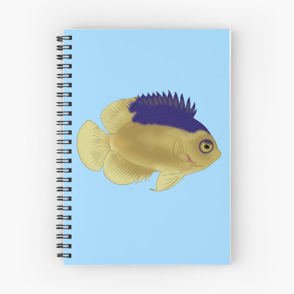 Item preview, Colin's Dwarf Angelfish designed and sold by Copperbora.