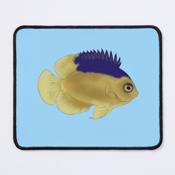 Item preview, Colin's Dwarf Angelfish designed and sold by Copperbora.
