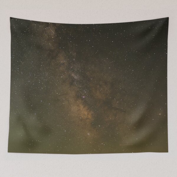 Item preview, August Milky Way with tree silhouettes in the foreground.  designed and sold by South 500 Photography.