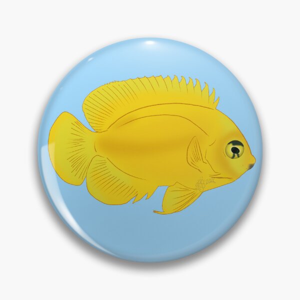 Item preview, Yellow Dwarf Angelfish designed and sold by Copperbora.