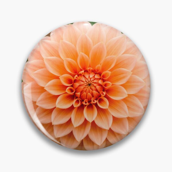 Item preview, Apricot Dahlia designed and sold by SanctuaryTheory.