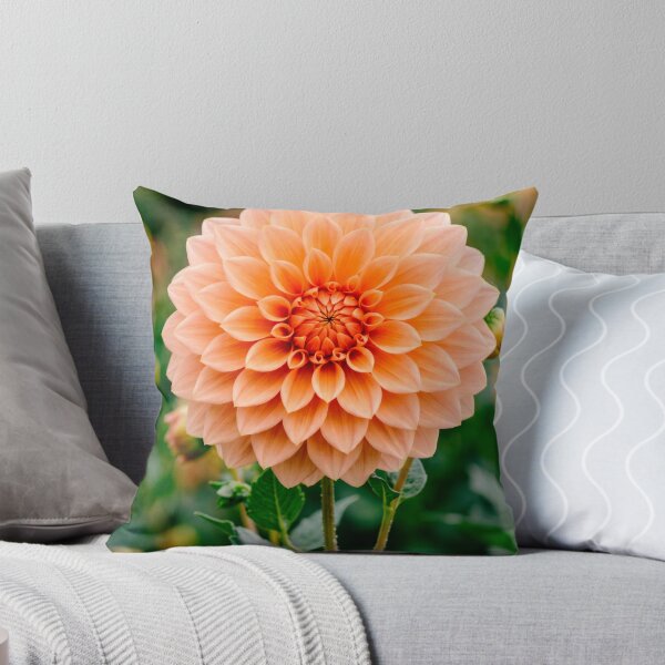 Item preview, Apricot Dahlia designed and sold by SanctuaryTheory.
