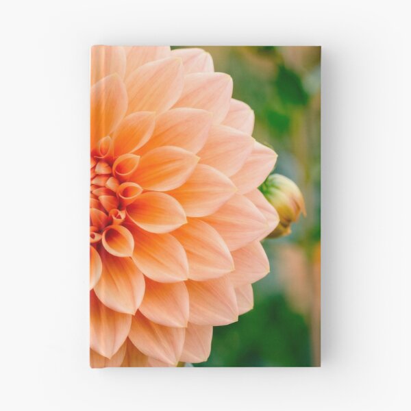 Aperçu de l'œuvre Dahlia abricot créée et vendue par SanctuaryTheory.