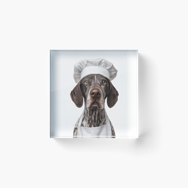Artikelvorschau, Pointer Kochhund lustige Kochschürze Hut süßes Haustierporträt entworfen und verkauft von LazyOwlStore.